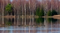 032_Biebrza - kwiecien 2011